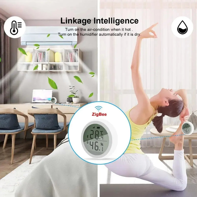 HIMOJO SmartTemp ZigBee✅